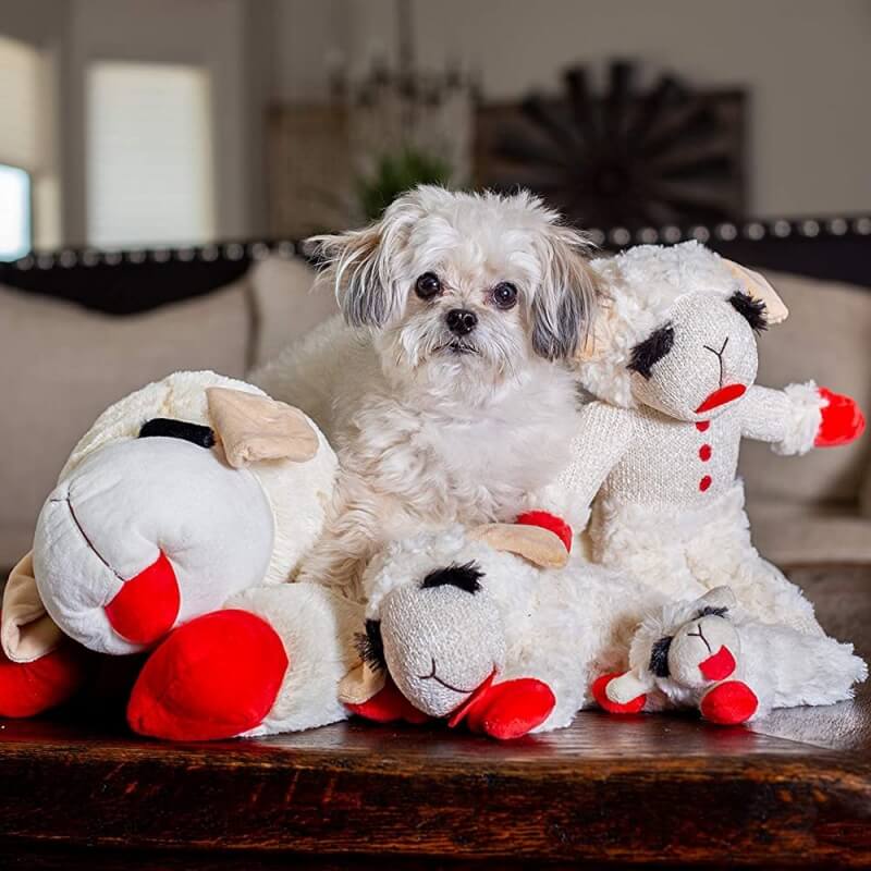 Dog Squeaky Plush Toy Sheep 11.4x4.7in Soft Chew Fetch Tug Puppy Comfort Cuddly Stuffed Animal | Koossa
