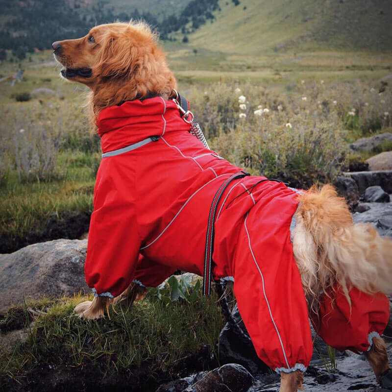 Dog Raincoat Full Body Waterproof Polyester Graphene Reflective Strips Large Dogs Windproof Snow Jacket Coat | Koossa